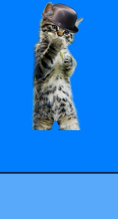 Creation of Kitty Orange: Step 2